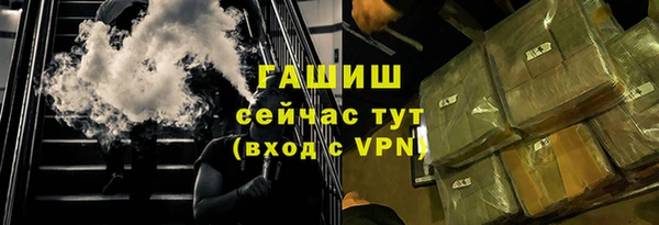 индика Гусев