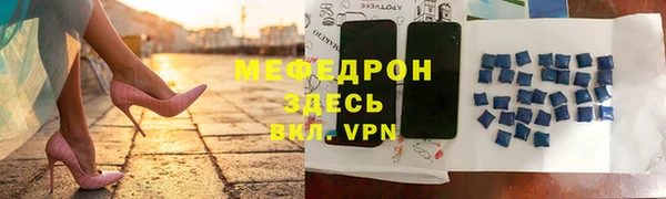 индика Гусев