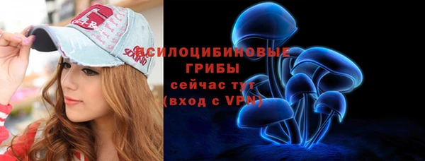 индика Гусев