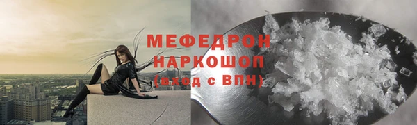 индика Гусев