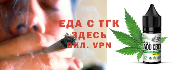 индика Гусев