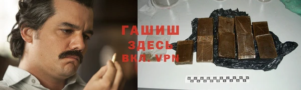 индика Гусев