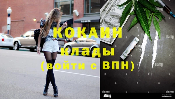 индика Гусев