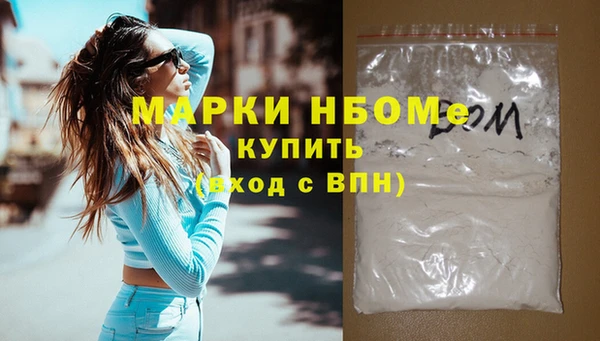 индика Гусев