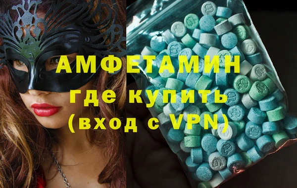 индика Гусев