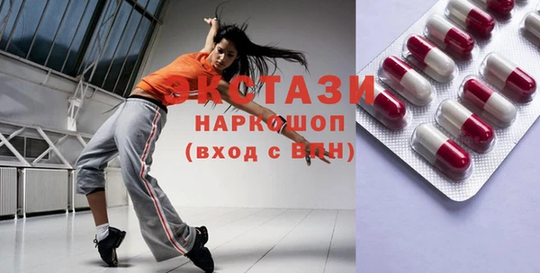 индика Гусев