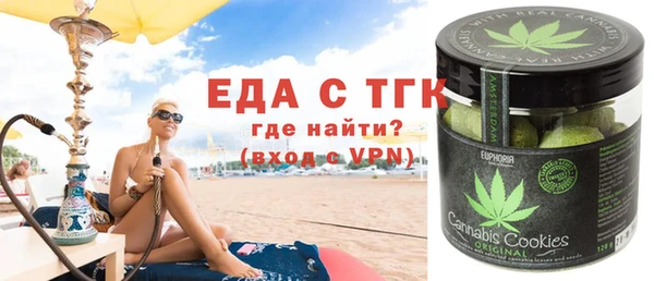 индика Гусев