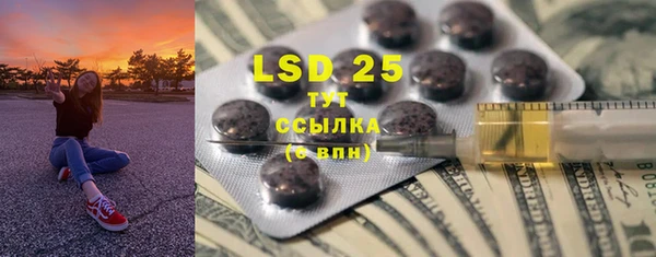 индика Гусев