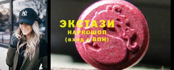 индика Гусев