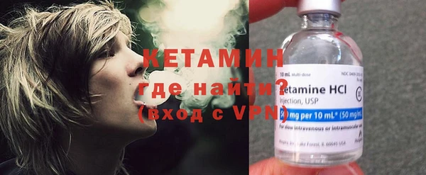 индика Гусев