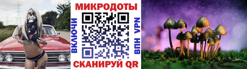 МЕГА как войти  Куровское  Галлюциногенные грибы мицелий 